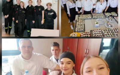 Zdawalność egzaminów zawodowych